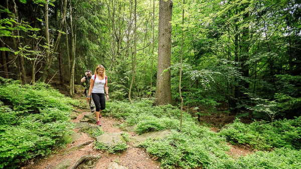 Skupina orientující se v terénu během outdoorové hry Ztraceni