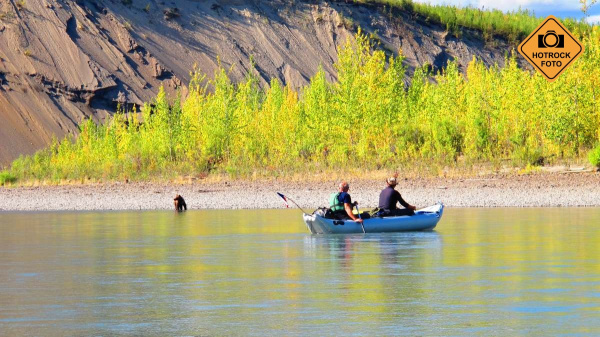 Na břehu řeky vidíme mladého grizzlyho. Foto: Tomáš Srostlík Na břehu řeky vidíme mladého grizzlyho. Foto: Tomáš Srostlík