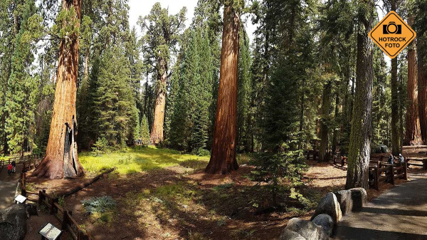 Sequoia National Park. Foto: HOTROCK.cz Sequoia National Park. Foto: HOTROCK.cz