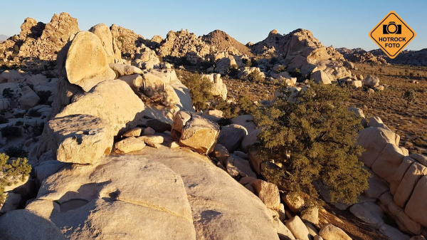Východ slunce v Joshua Tree. Foto: HOTROCK.cz Východ slunce v Joshua Tree. Foto: HOTROCK.cz