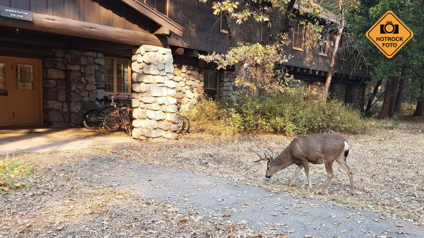 I při toulání po údolí jsou vidět divy. Foto: HOTROCK.cz I při toulání po údolí jsou vidět divy. Foto: HOTROCK.cz